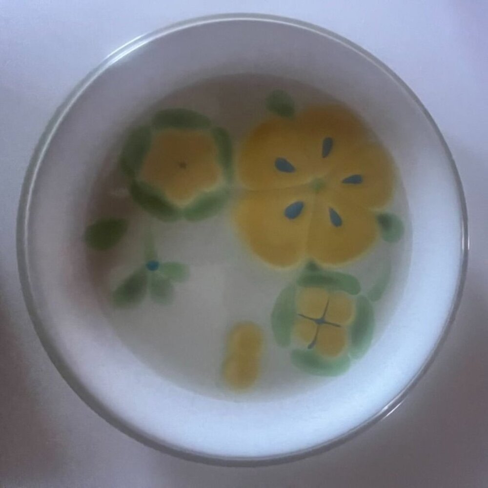 Vtg Noritake Folkstone South Pacific Dinner Plates Set Of 2 Yellow Flowers Japan